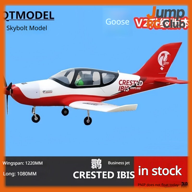 Rc Hobby Experts - เครื่องบินบังคับวิทยุรุ่น QT แบบสะเทินน้ำสะเทินบก รุ่น Crested Ibis