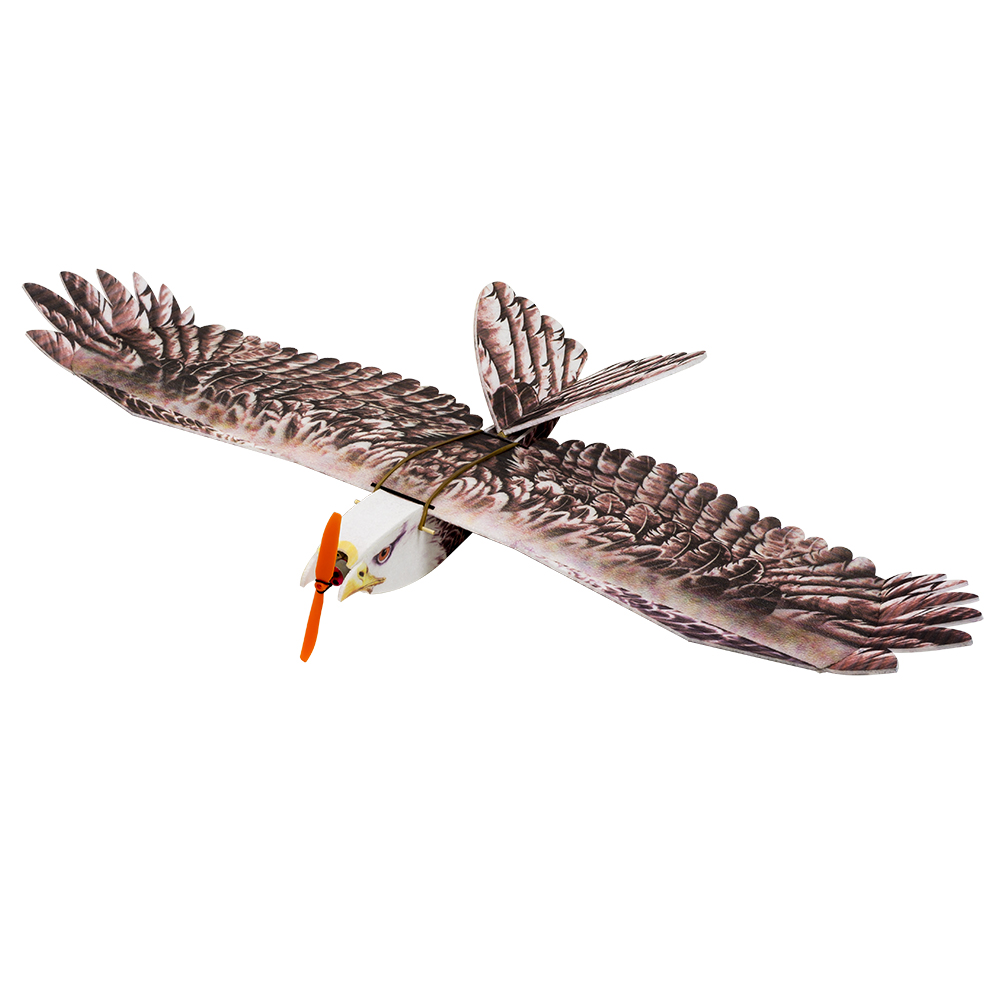 เครื่องบินบังคับวิทยุ DW Hobby - Rc Hobby Experts บทวิจารณ์และราคา